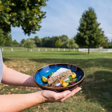 Bed and Breakfast Matild Country