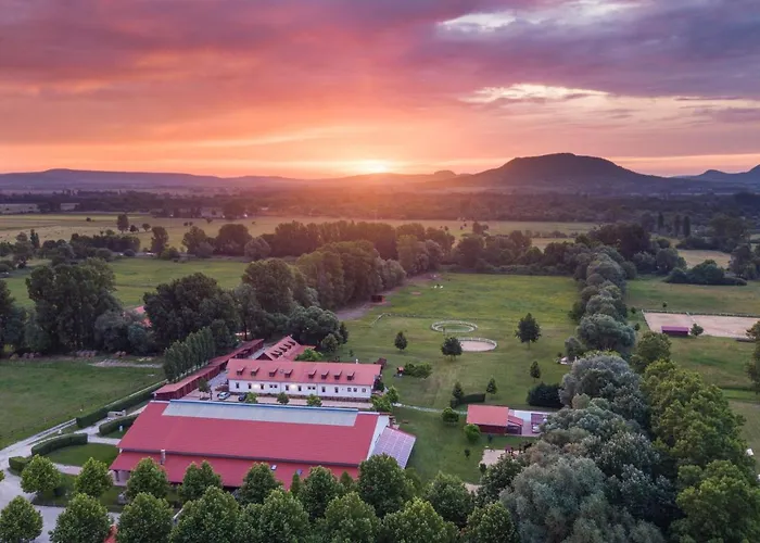 Bed and breakfast Matild Country Nemesvita